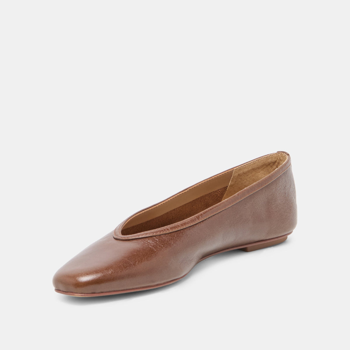 CARET Russet Leather Pointed-Toe Ballet Flats | Dolce Vita Essential