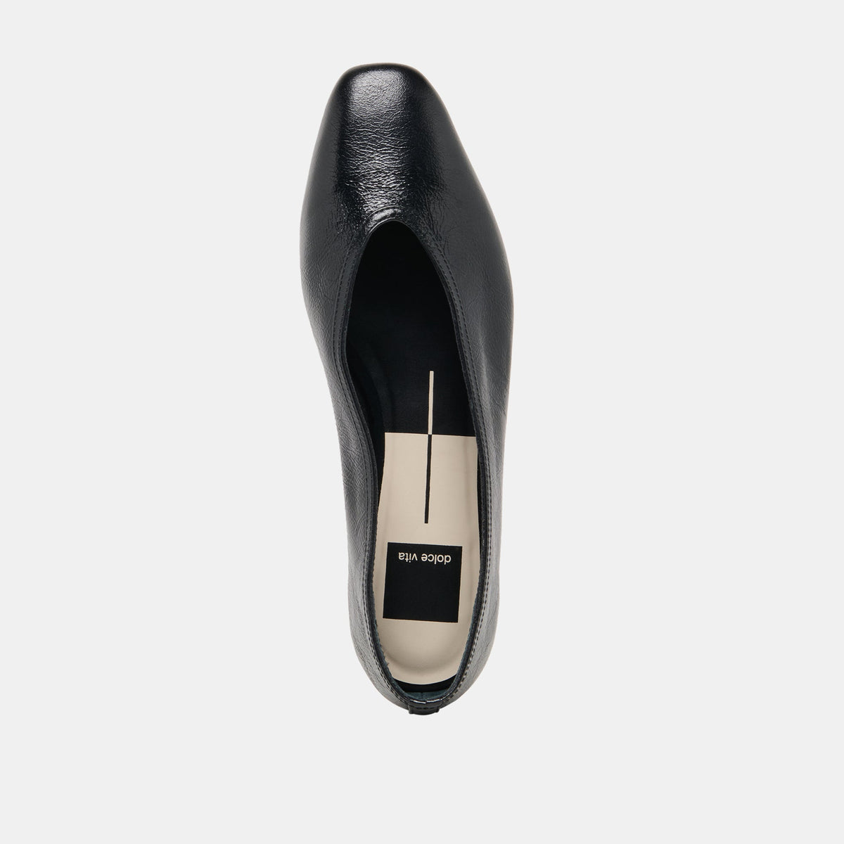 CARET Black Leather Pointed-Toe Ballet Flats | Dolce Vita Latest