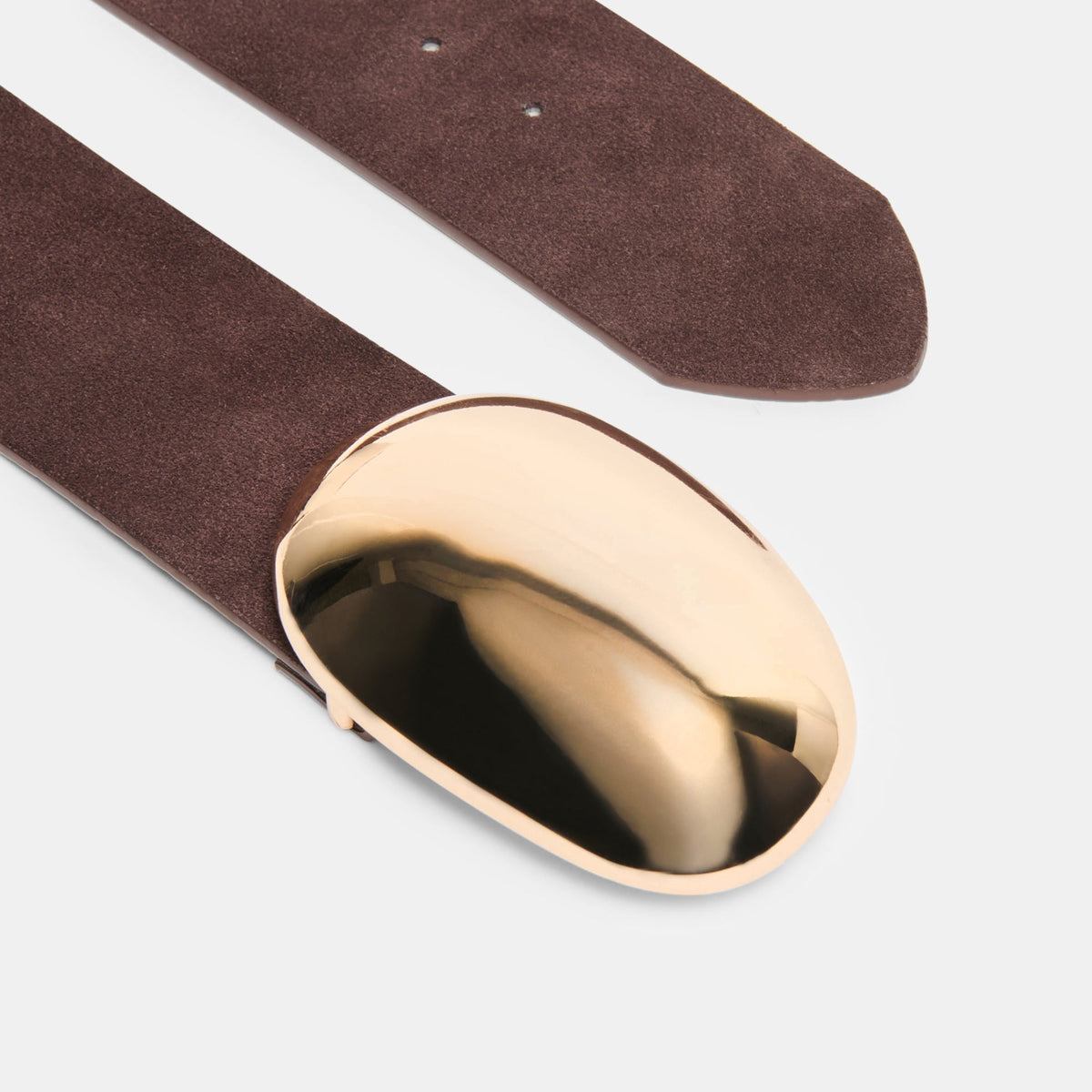 Bubble Mahogany Gold Buckle Belt | Dolce Vita Premium